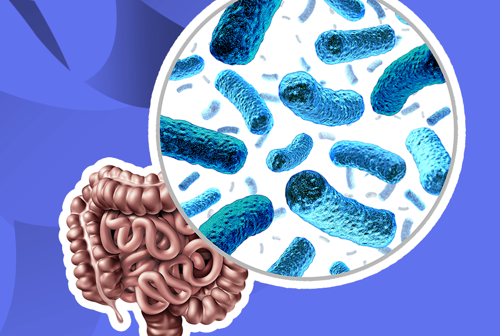 Meet the Probiotics A-Team