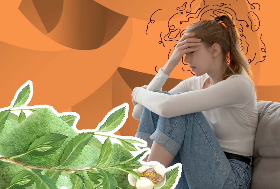 L-Theanine for Anxiety
