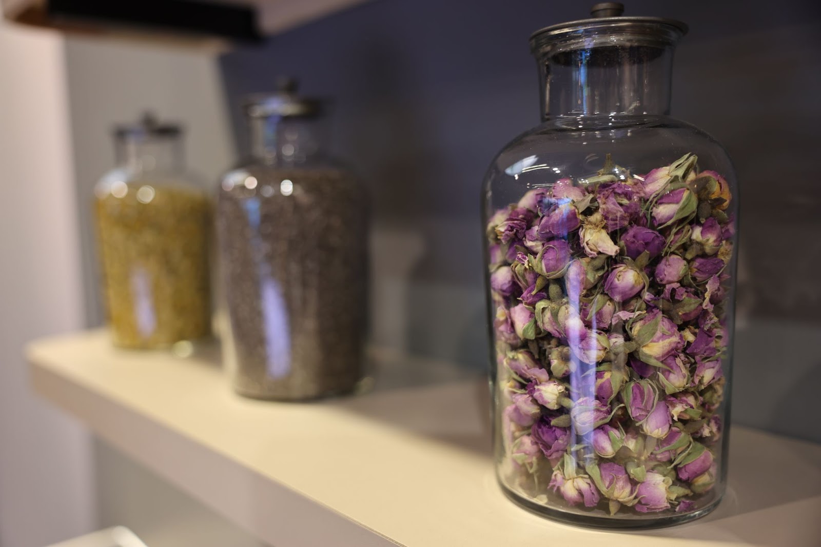 mountain rose herbs expo west 2022 booth