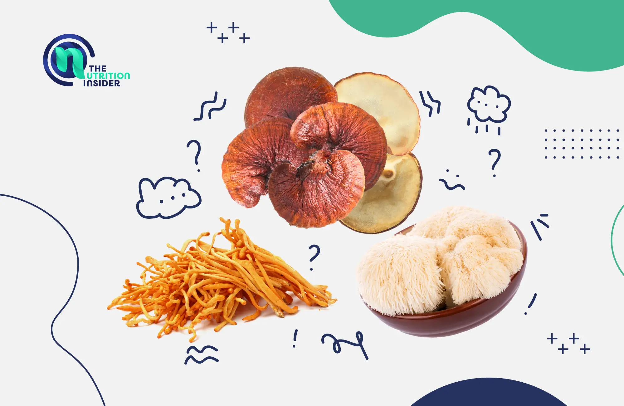 Best Mushrooms for Anxiety