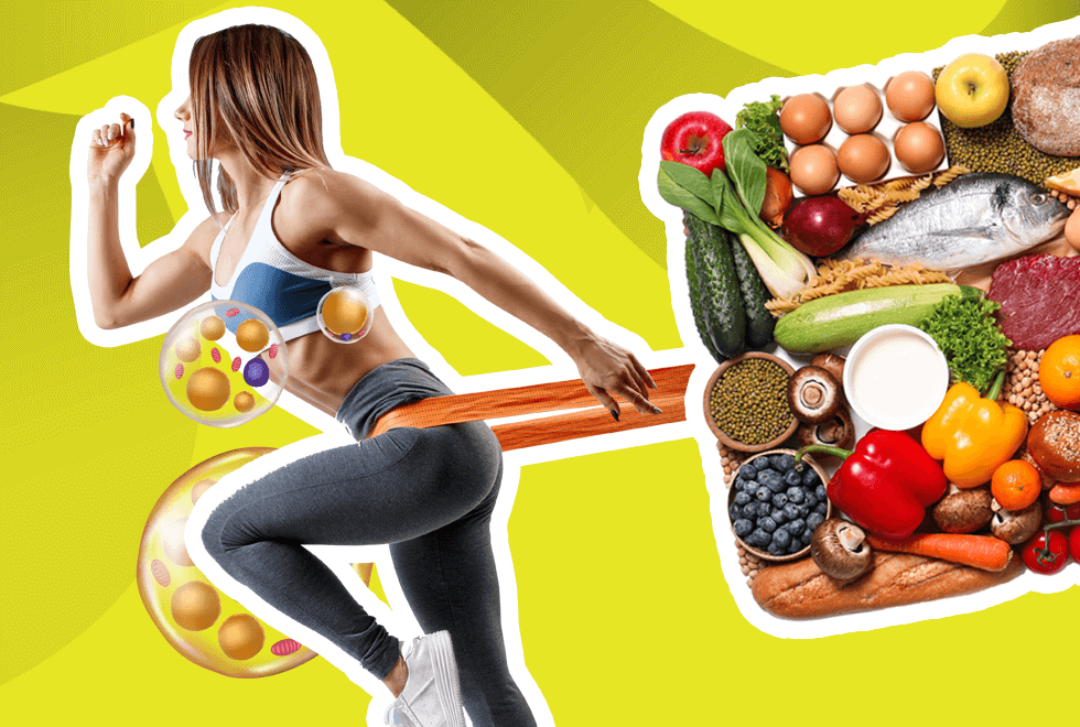 Foods That Activate Brown Fat for Healthier Metabolism