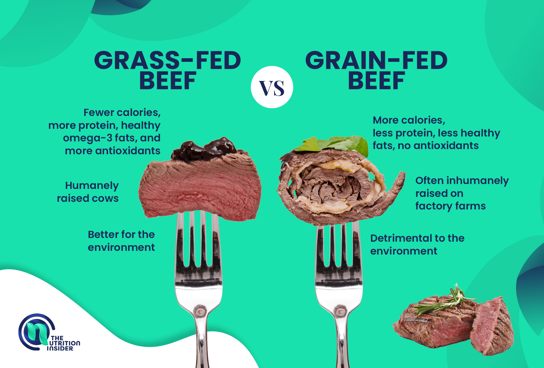 Grass Fed Vs Grain Fed graphic