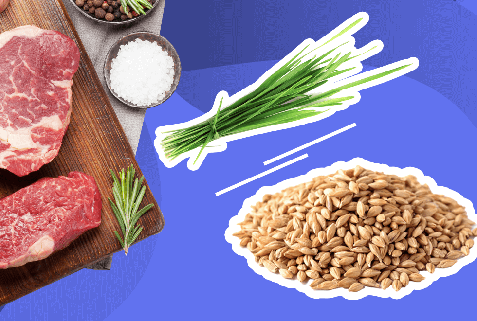 Grass Fed vs Grain Fed featured image