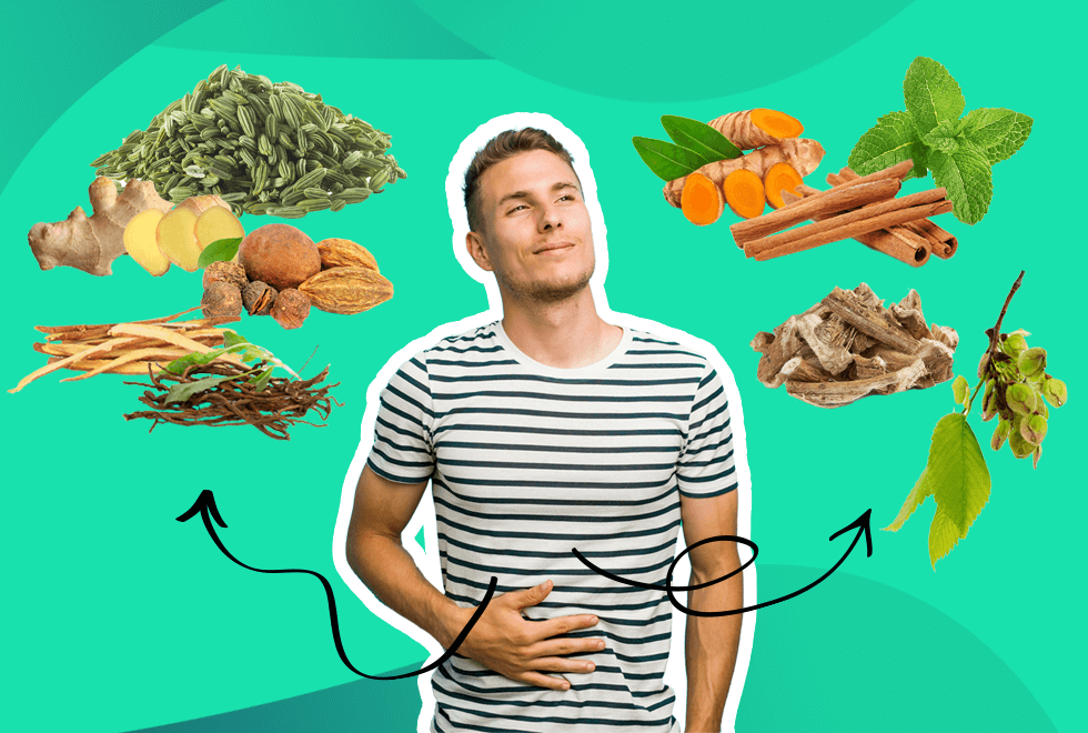 Herbs for Healthier Digestion