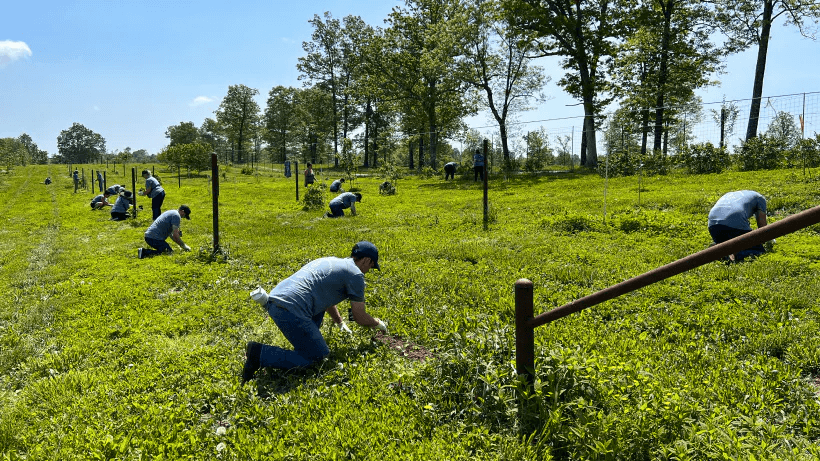 Ancient nutrition employees at company farm
