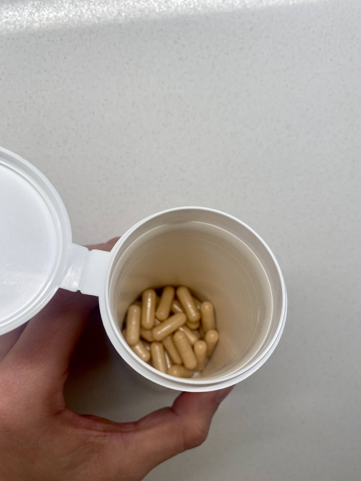 capsules from the garden of life raw probiotics ultimate care