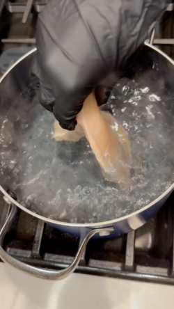 chicken being boiled