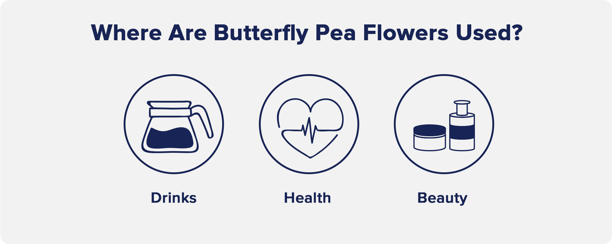 Where are Butterfly Pea Flowers Used?Drinks, Health, and Beauty