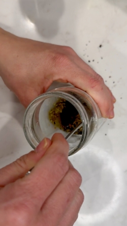 combine dressing ingredients