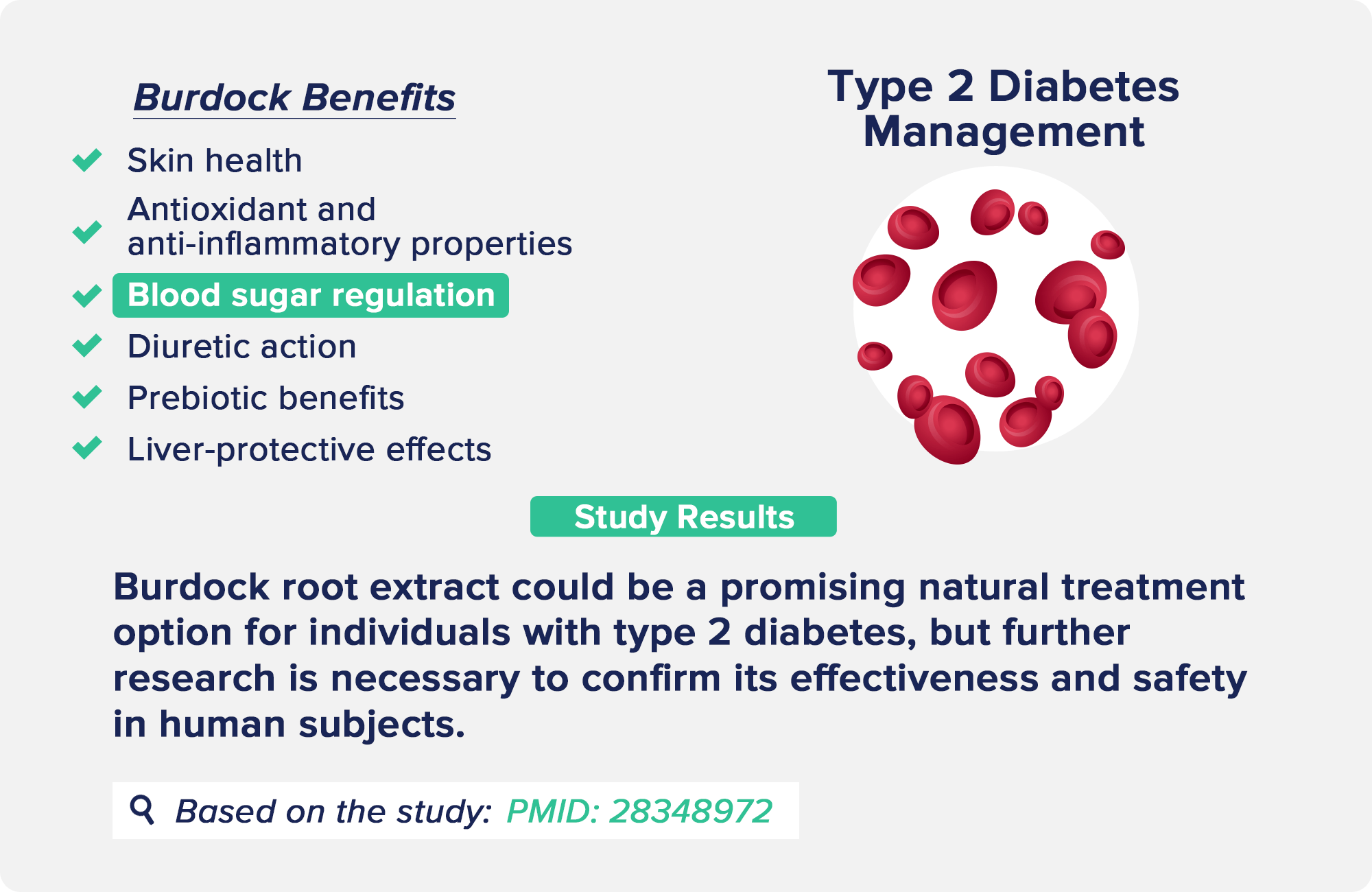 burdock benefits: Blood Sugar Regulation