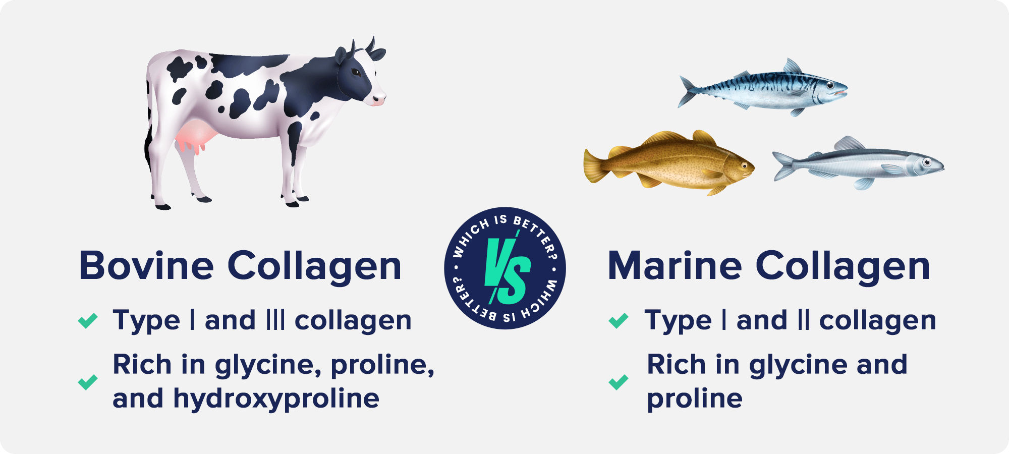 Bovine Collagen VS Marine Collagen