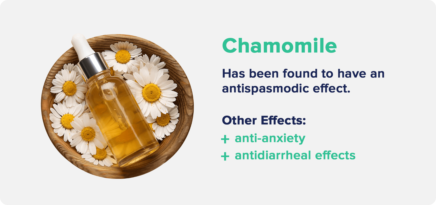 Chamomile