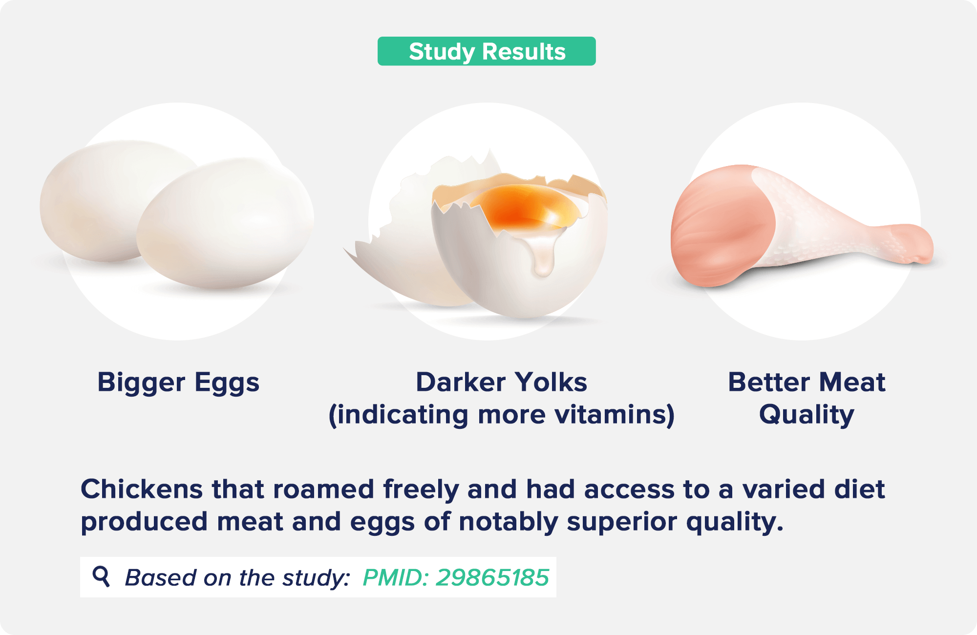 benefits of free range chicken