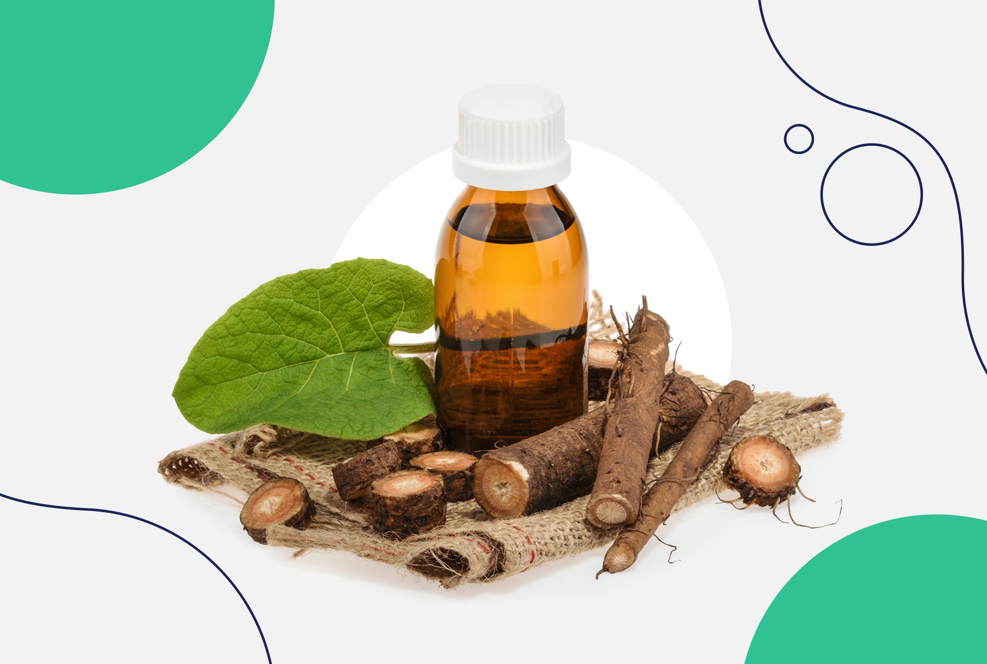 Burdock Root Benefits