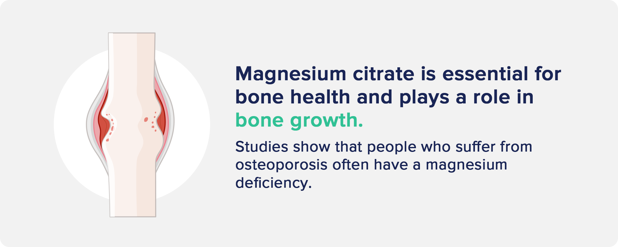 Bone Health