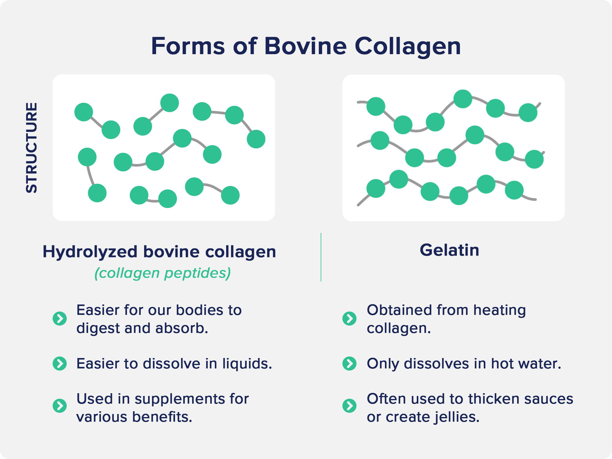 Forms of Bovine Collagen