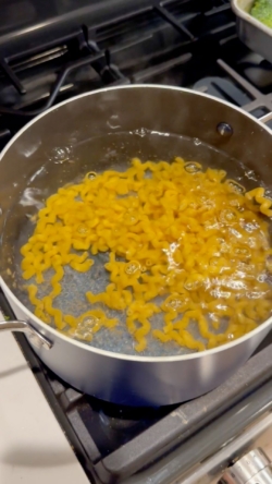 Once water is boiled, add in pasta and cook according to box directions