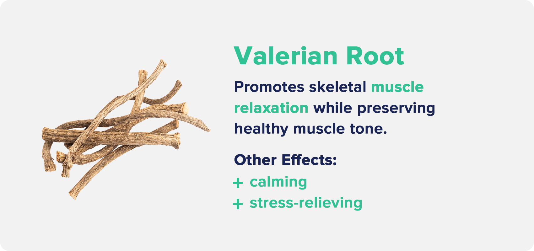 Valerian Root