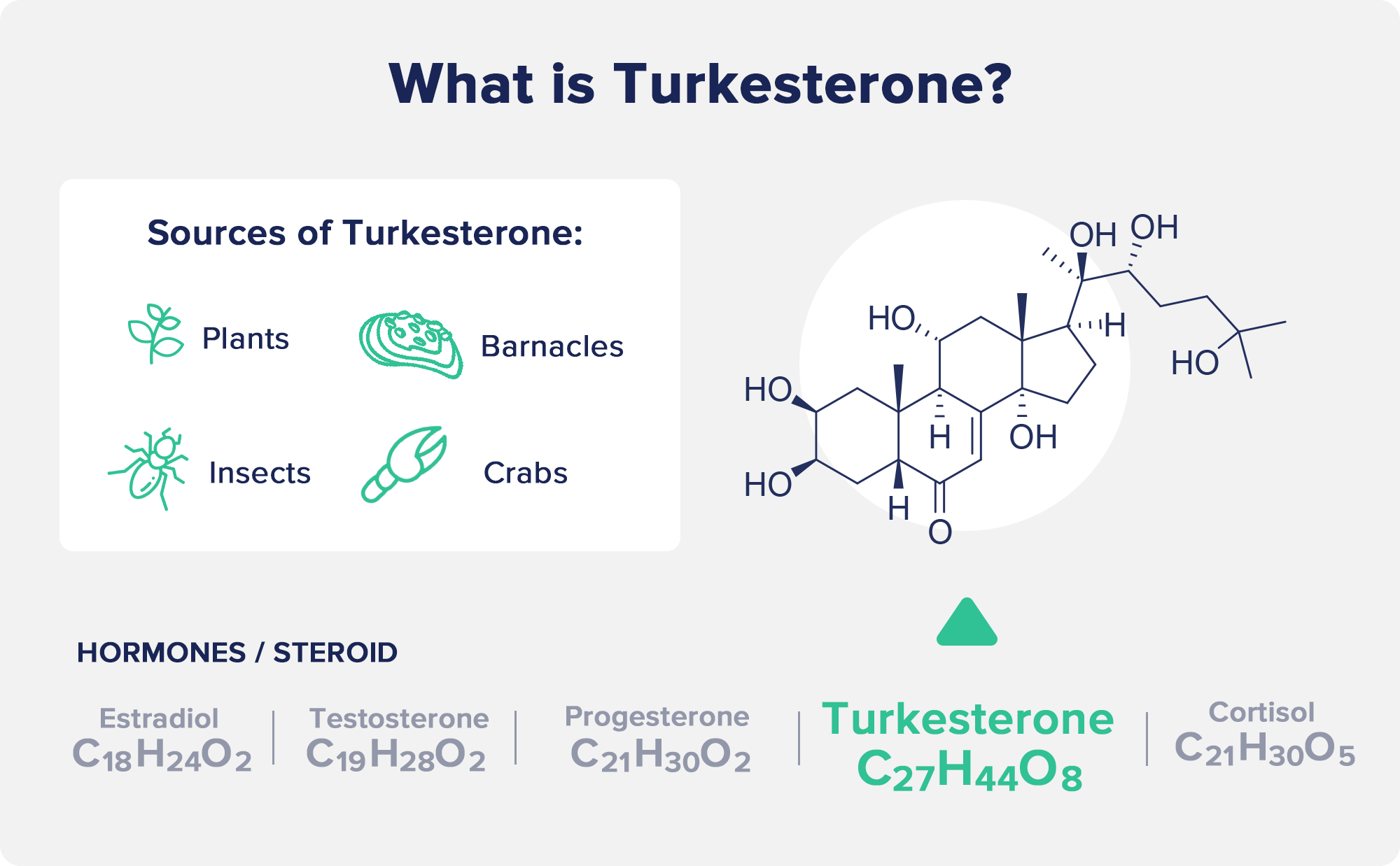 What Is Turkesterone?