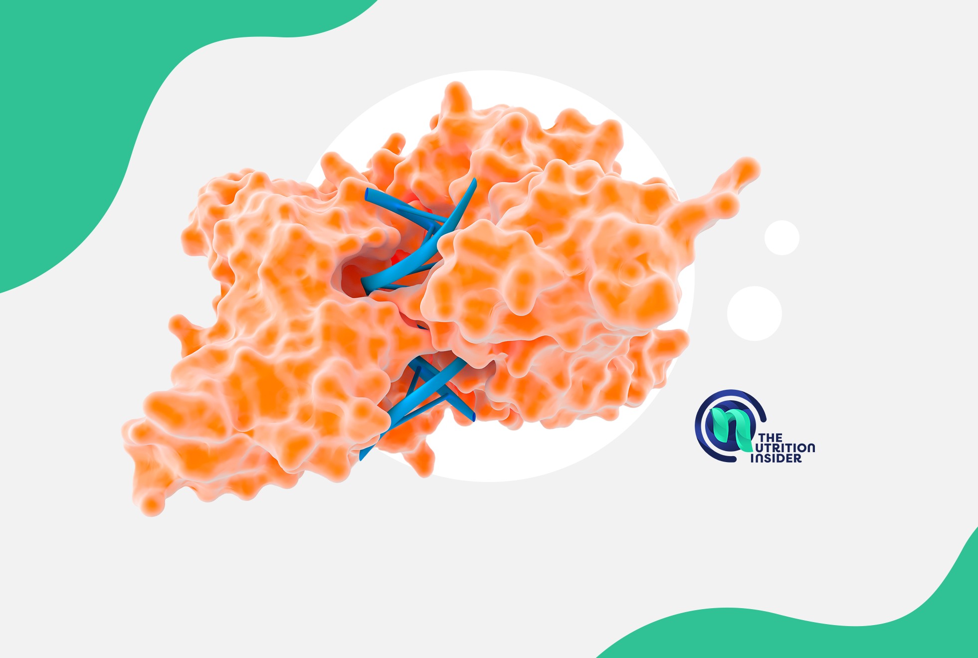 Serrapeptase Benefits