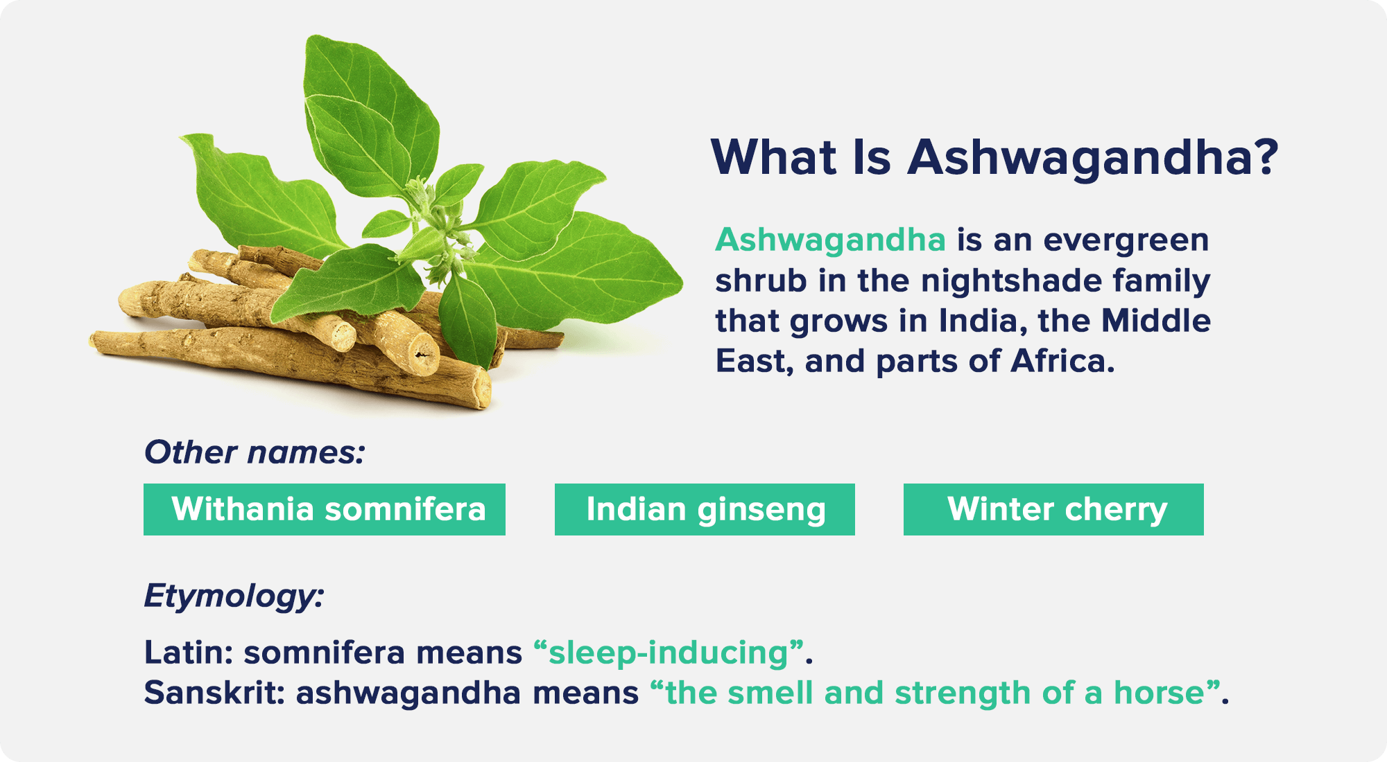 What Is Ashwagandha