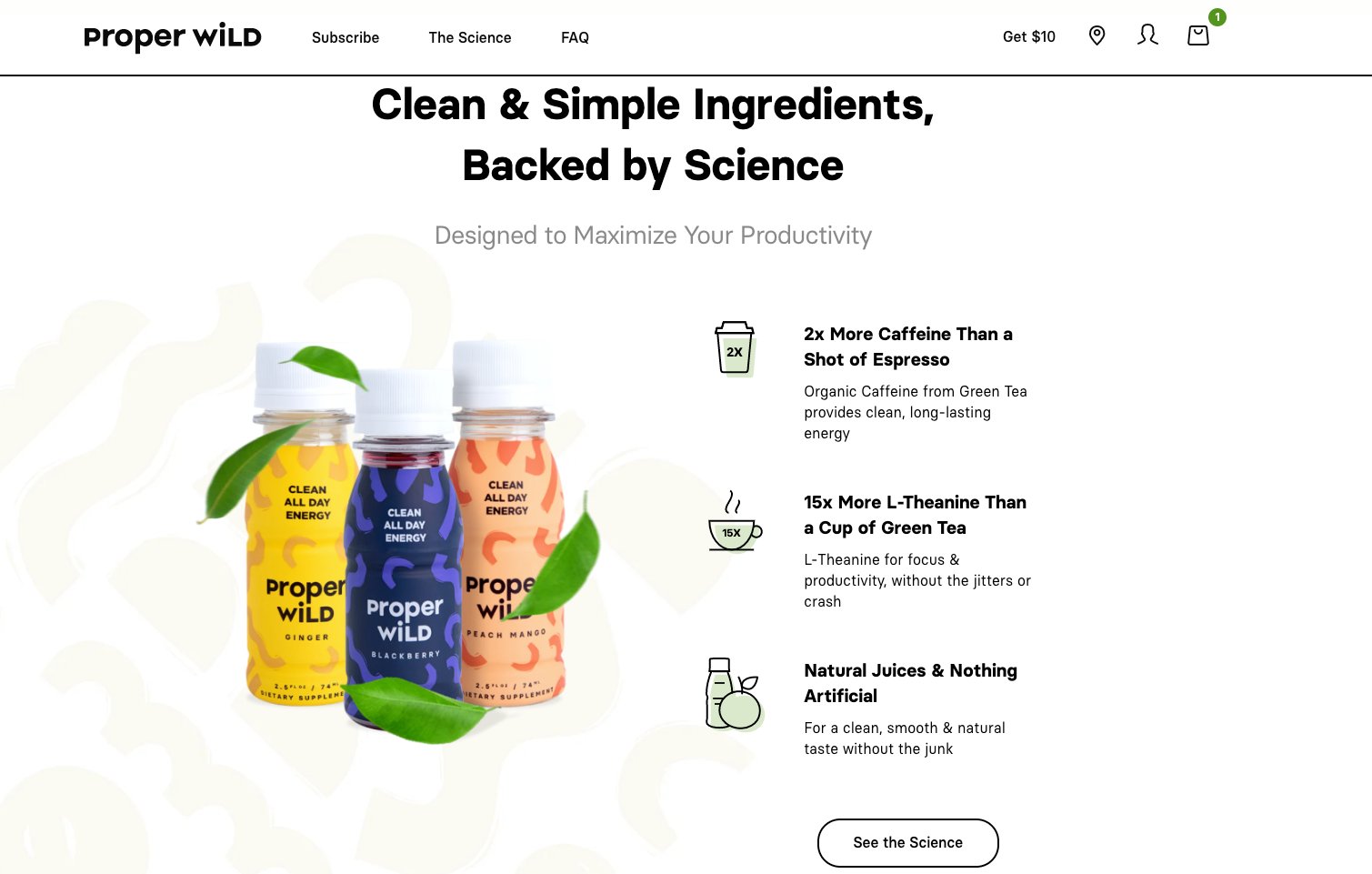 Website Experience