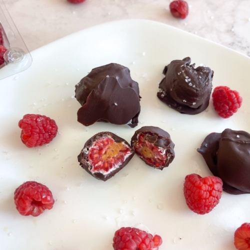 Frozen Yogurt Chocolate Raspberry Bites