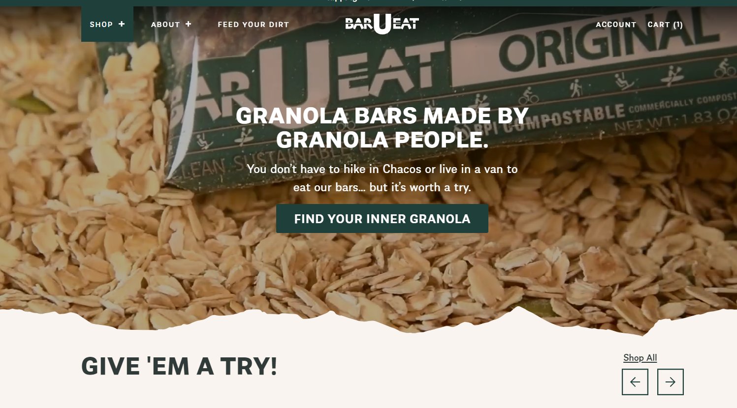 Website Experience