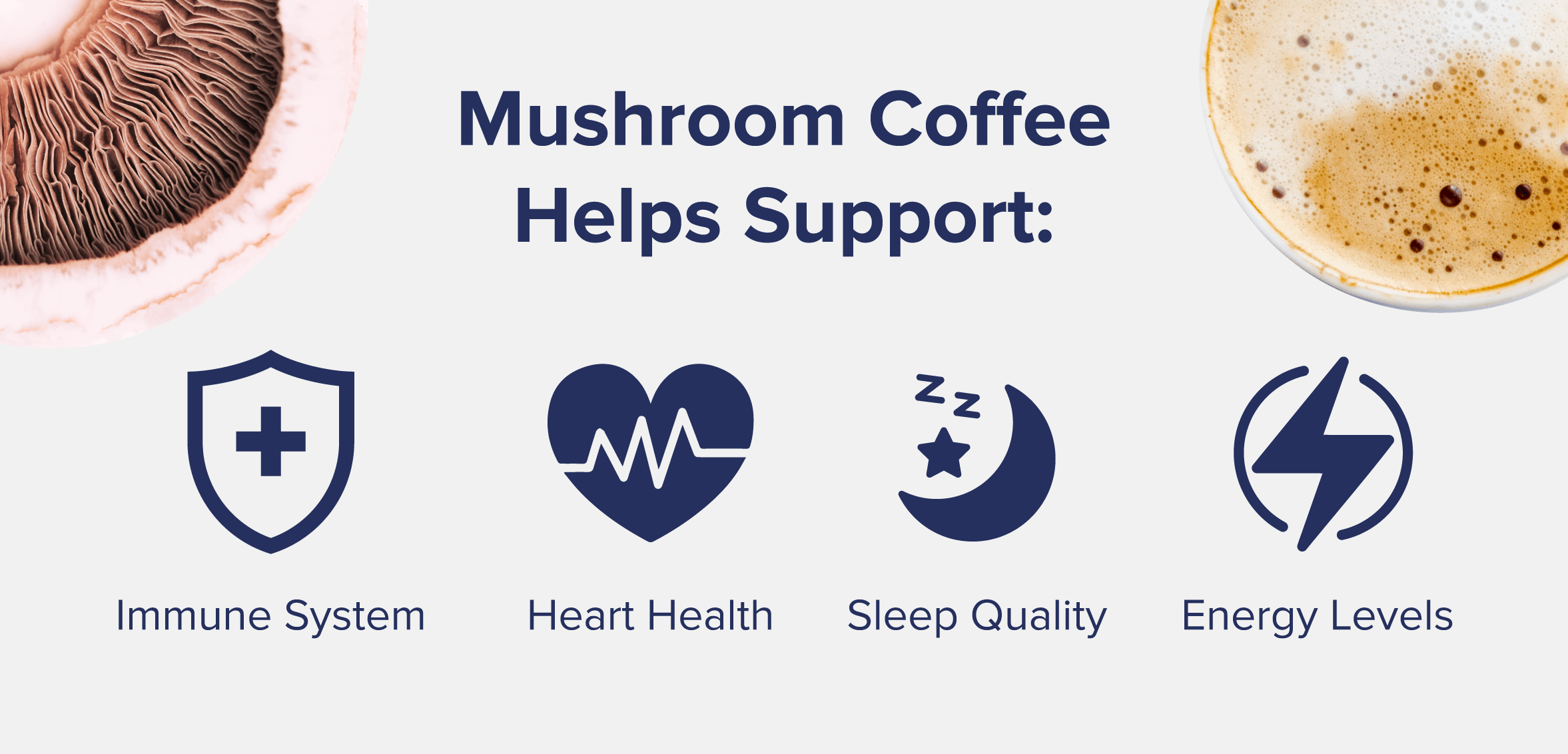 Mushroom Coffee Benefits