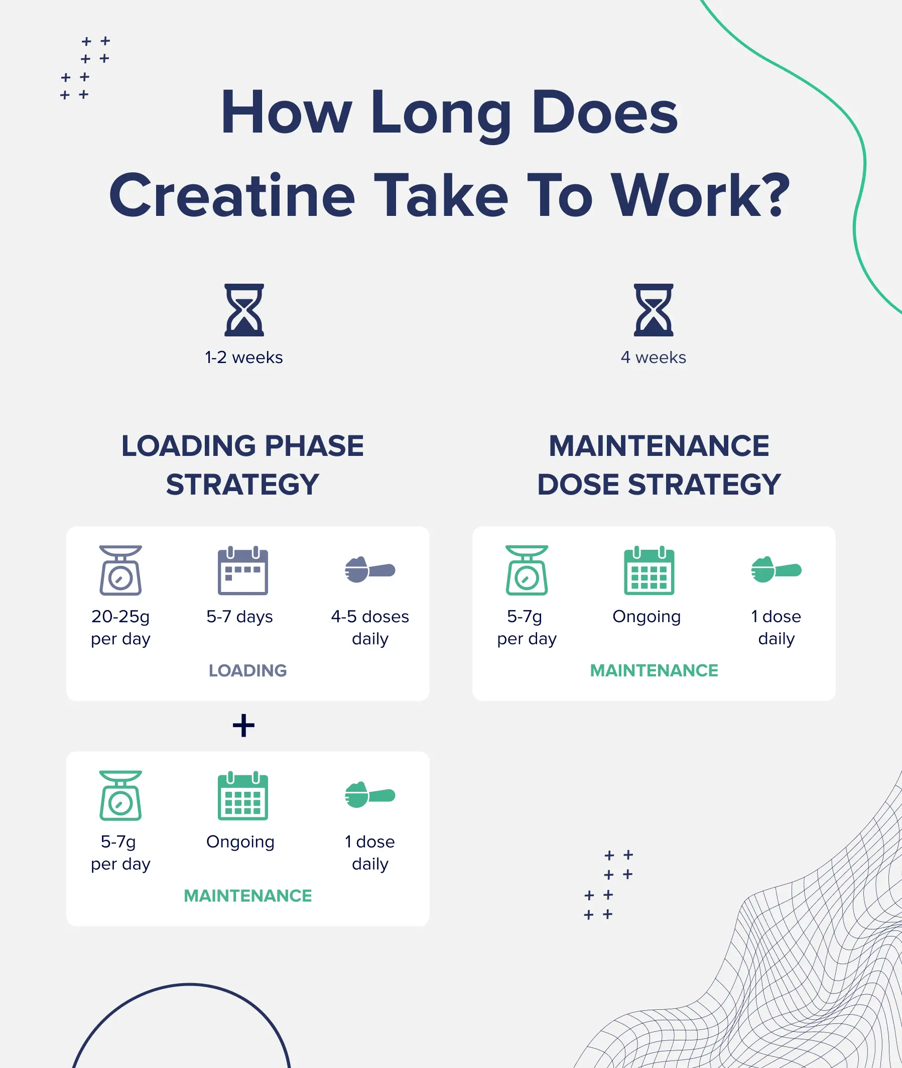 List of loading and maintenance strategies that will dictate how long it takes for creatine to work.