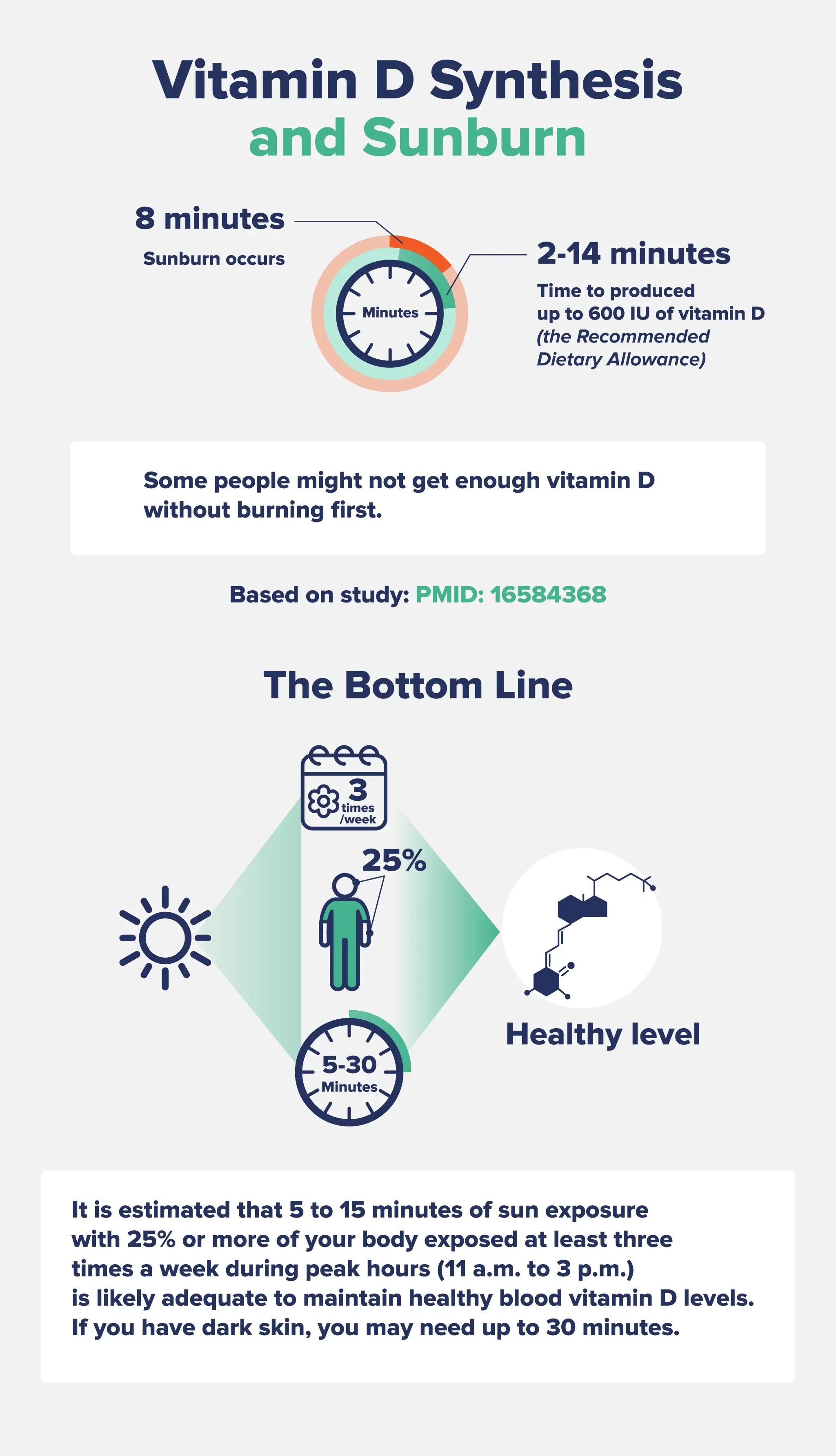 Infographic breaking down the process of synthesizing vitamin D  and getting sunburnt. 