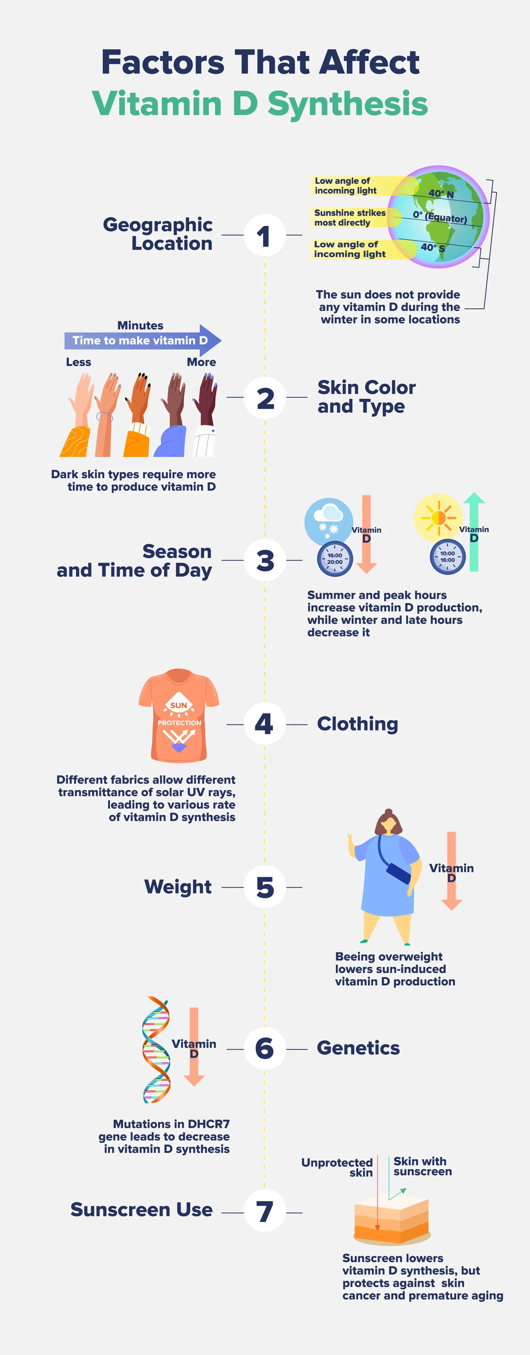 Infographic listing out factors that affect vitamin D synthesis.