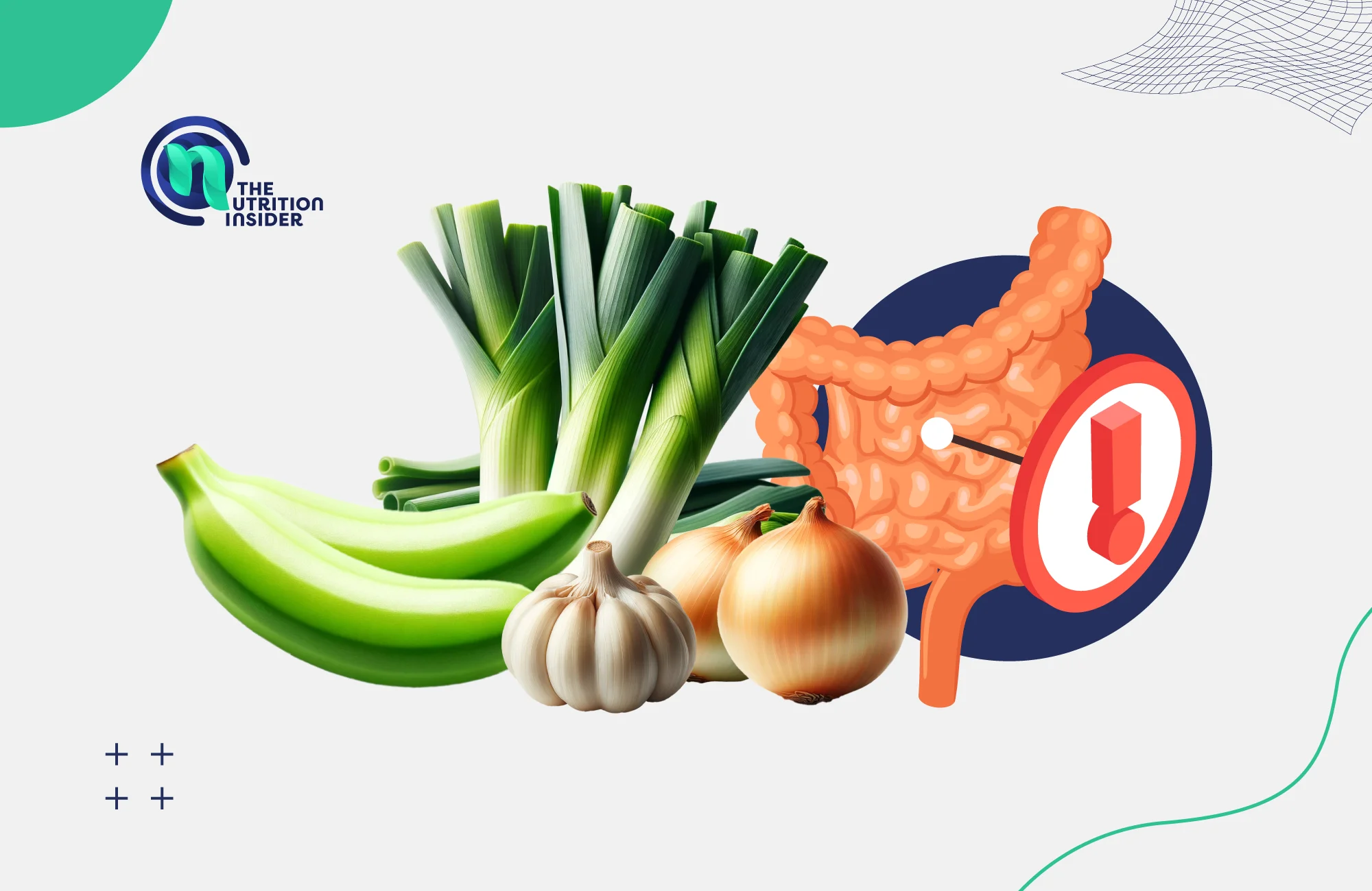Top 17 Best Prebiotic Foods
