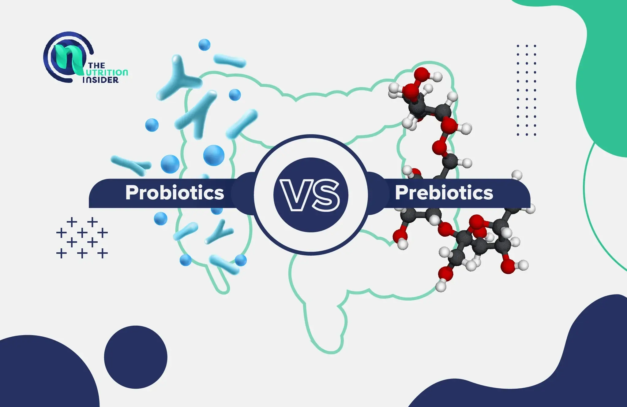 Prebiotics vs. Probiotics: What’s the Difference?