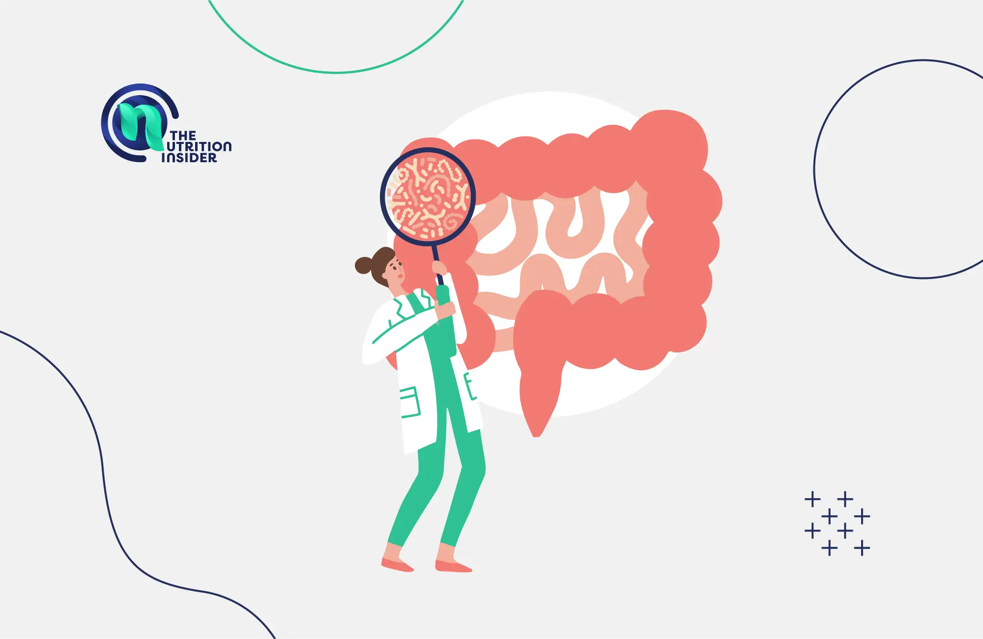 What Are Probiotics? A Beginner’s Guide