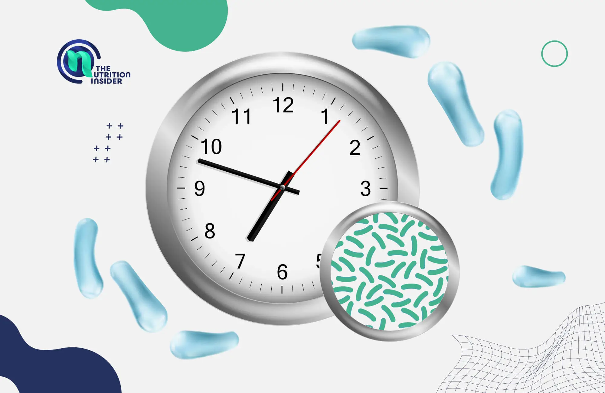 How Long Does It Take for Probiotics to Work?