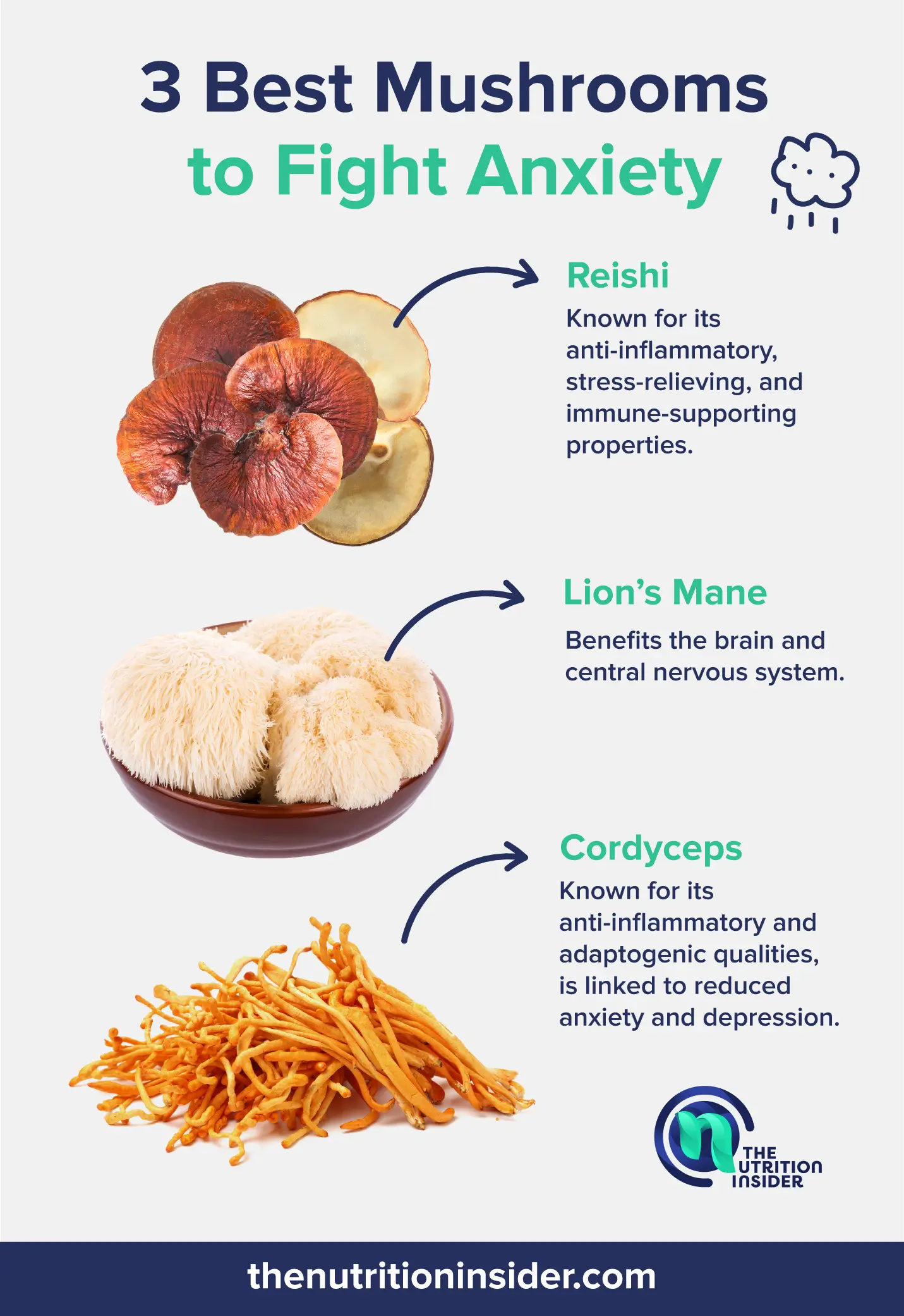 0 3 Best Mushrooms to Fight