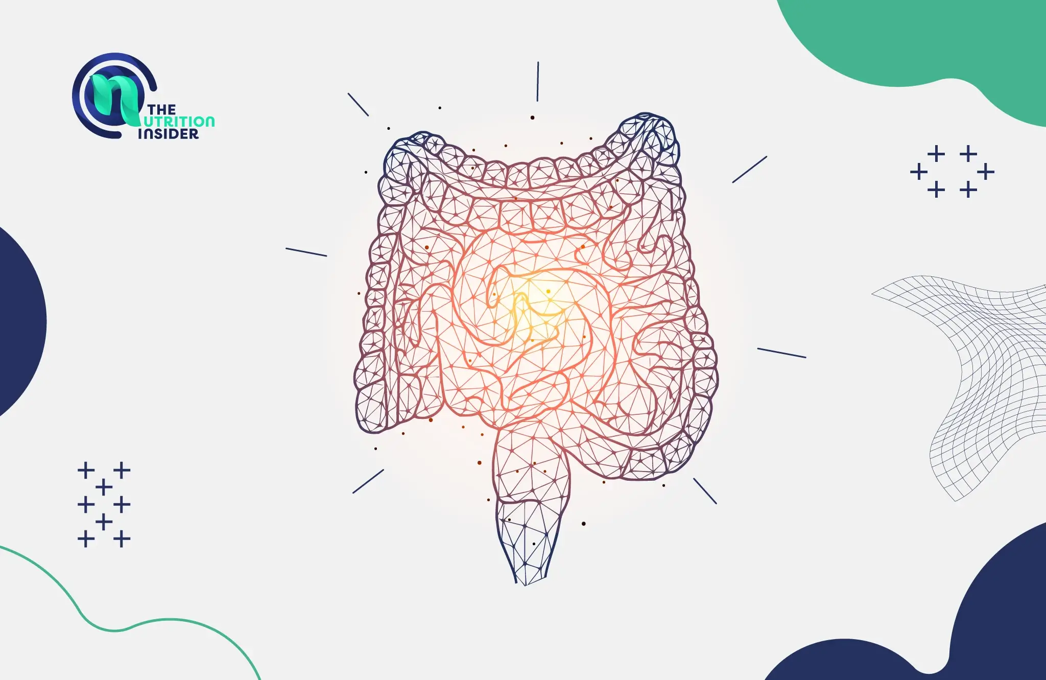 6 Easy Ways to Improve Your Gut Health