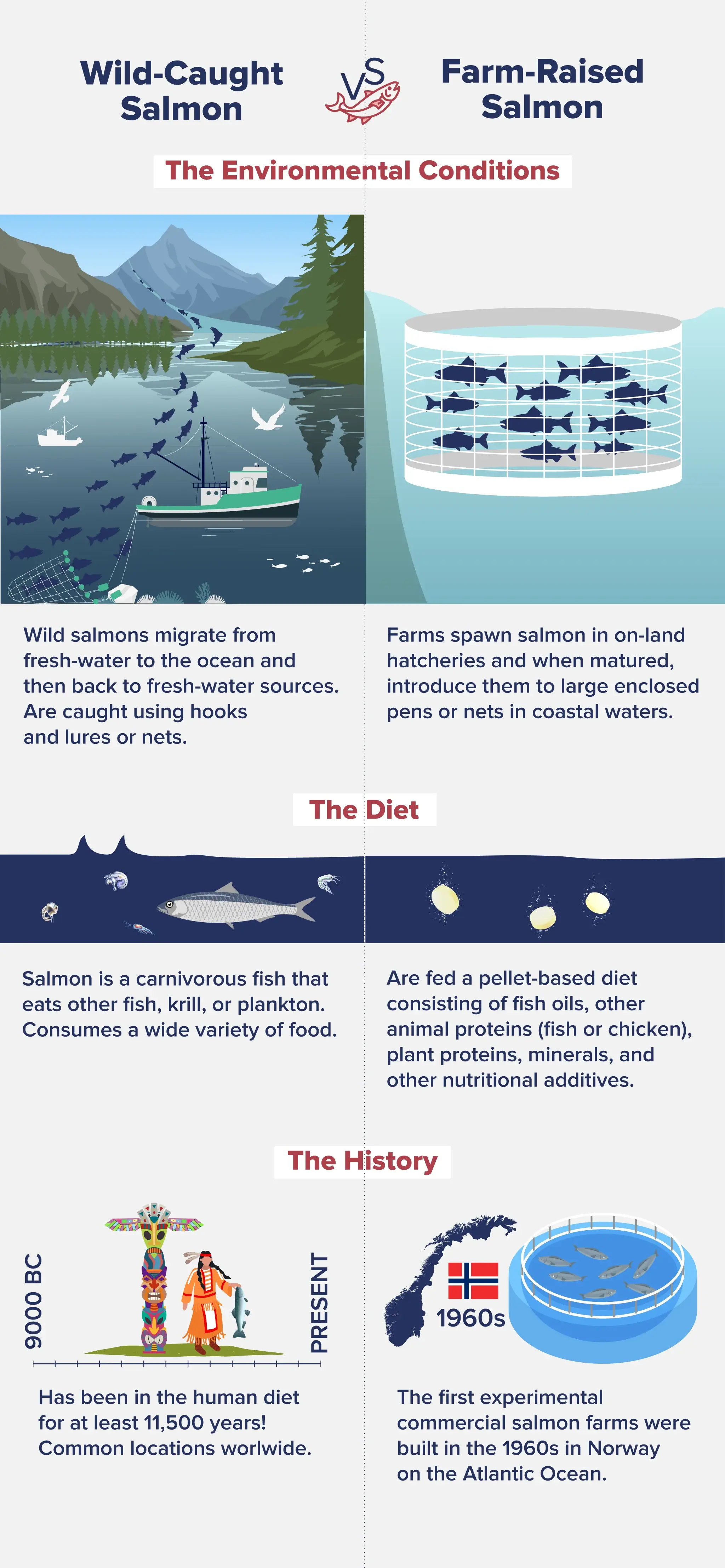 Infographic depicting the differences between wild-caught salmon and salmon that is farm-raised's diet and history. 