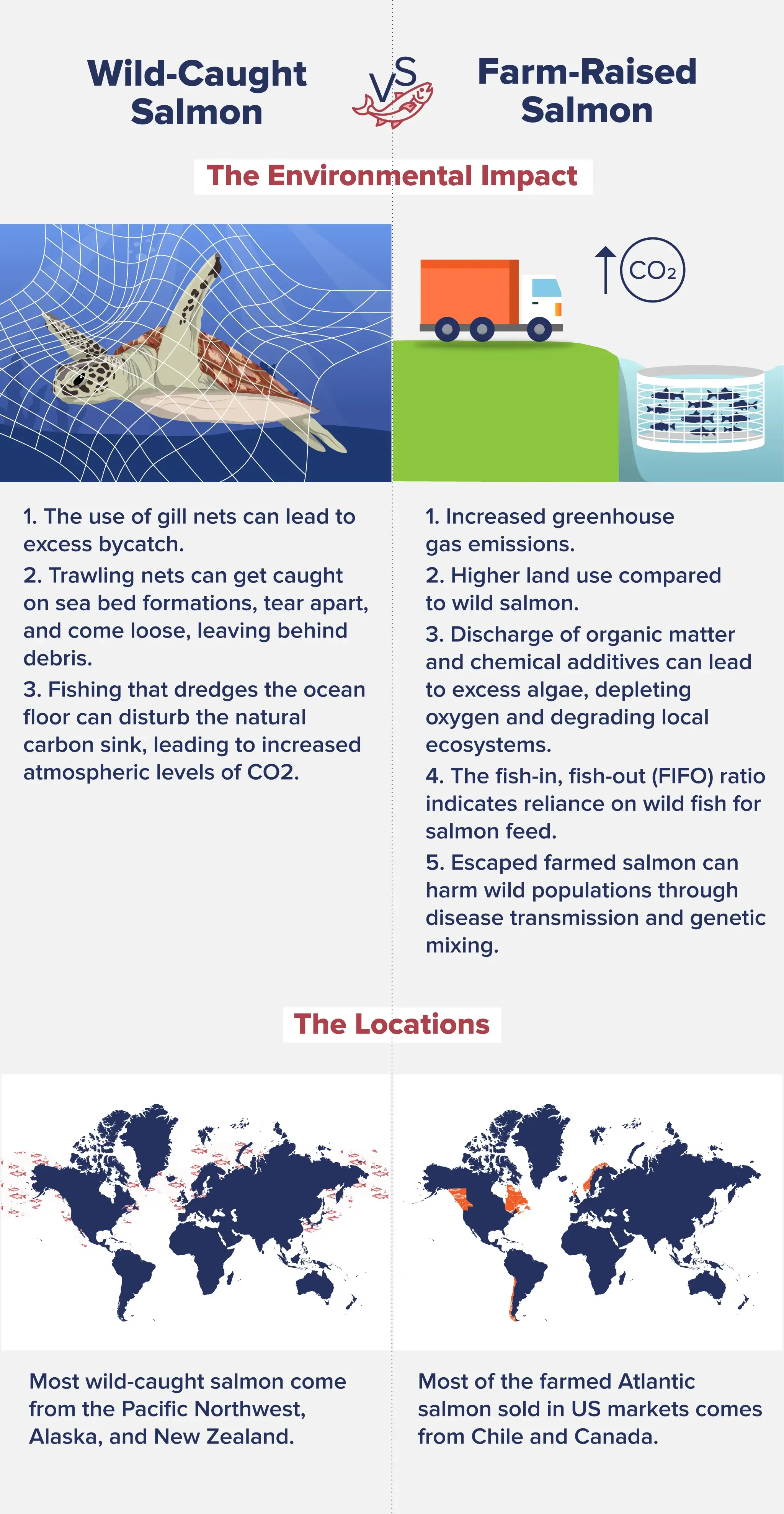 Infographic listing the environmental impact between farm-raised and wild salmon. 