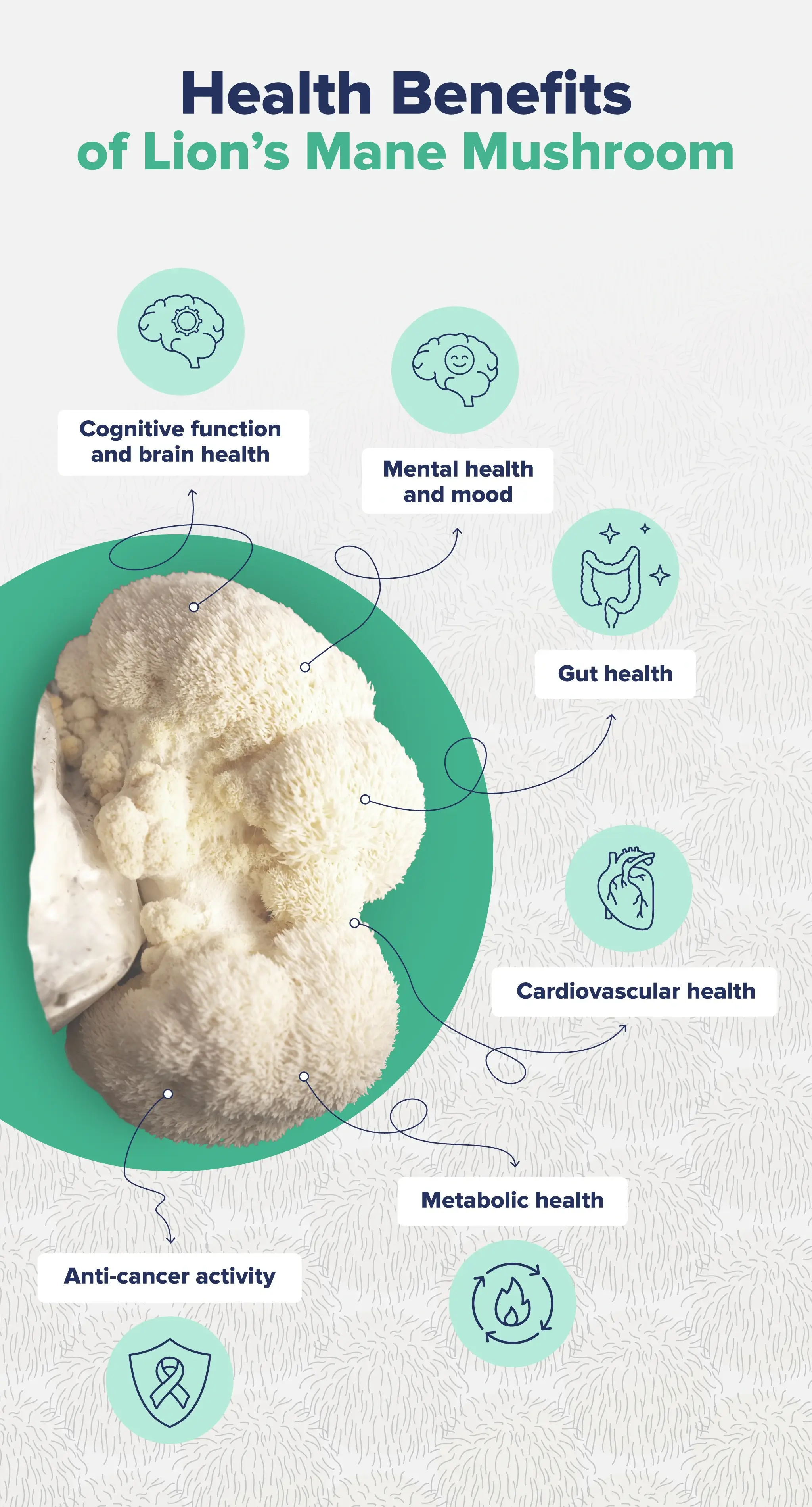 Health Benefits of Lion's Mane Mushroom
