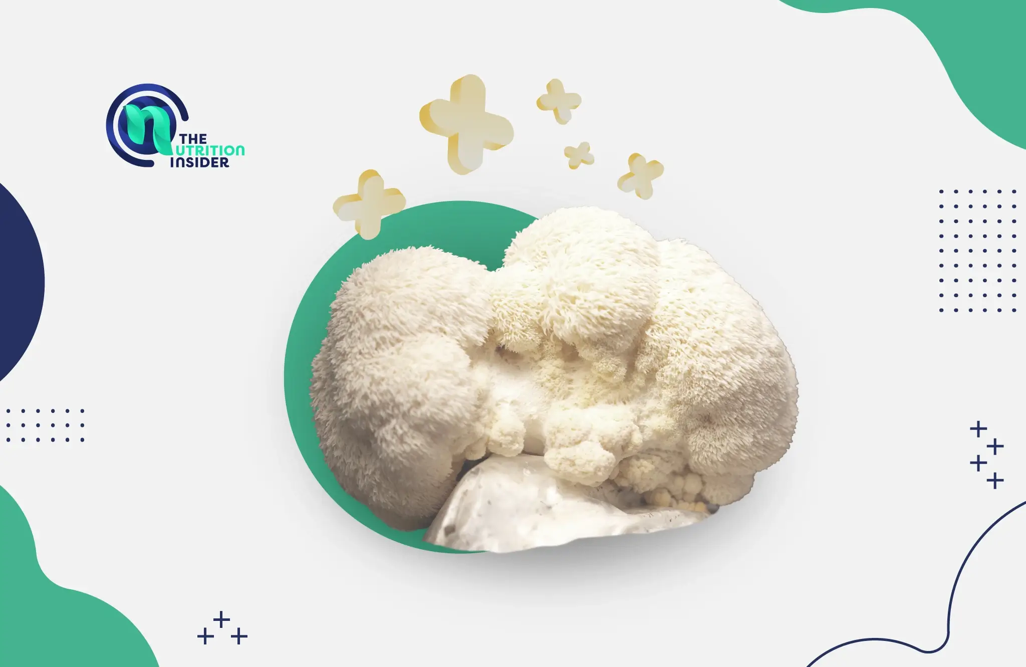 Lion’s Mane Mushroom Benefits