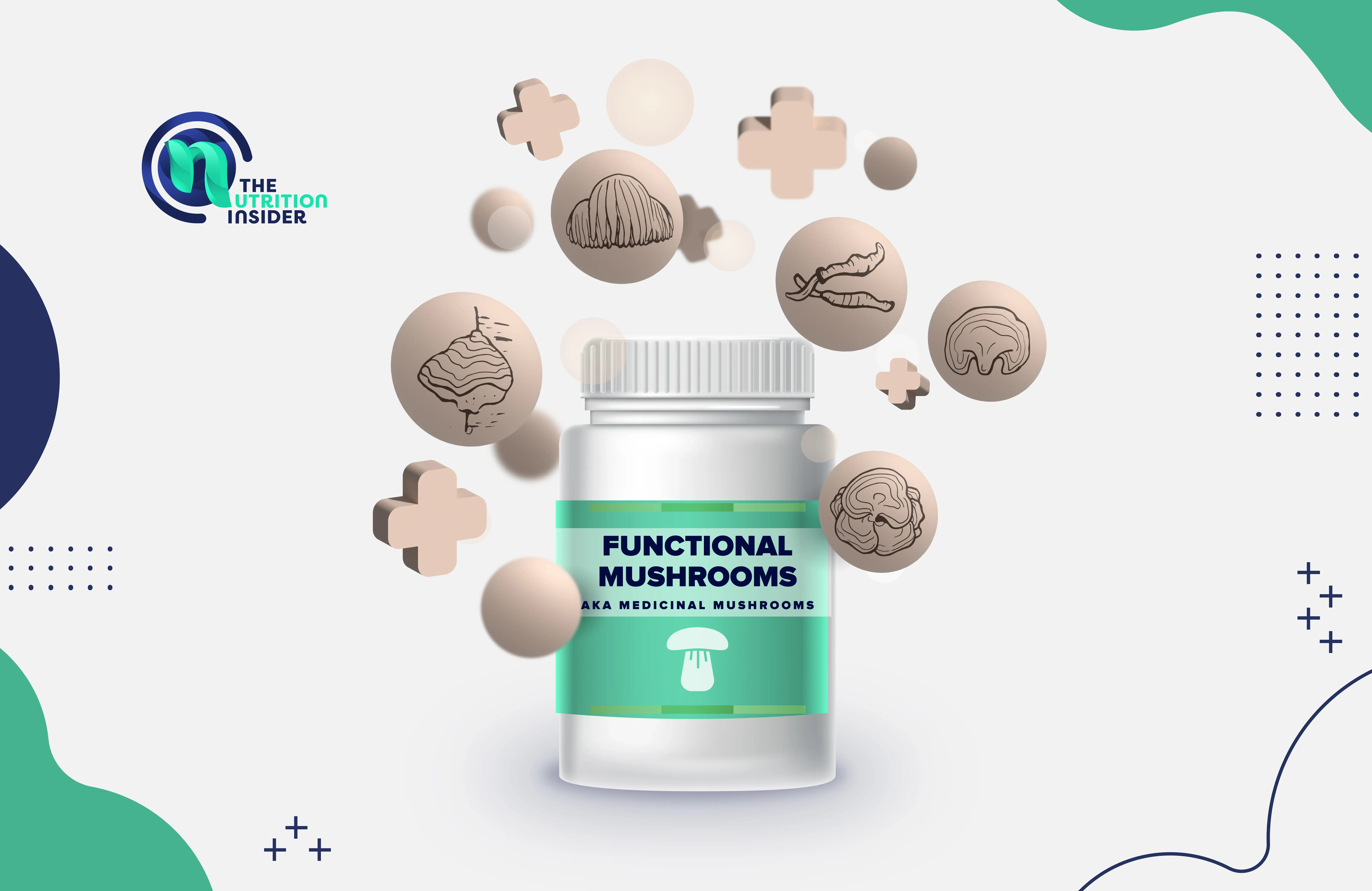 What Are Functional Mushrooms?