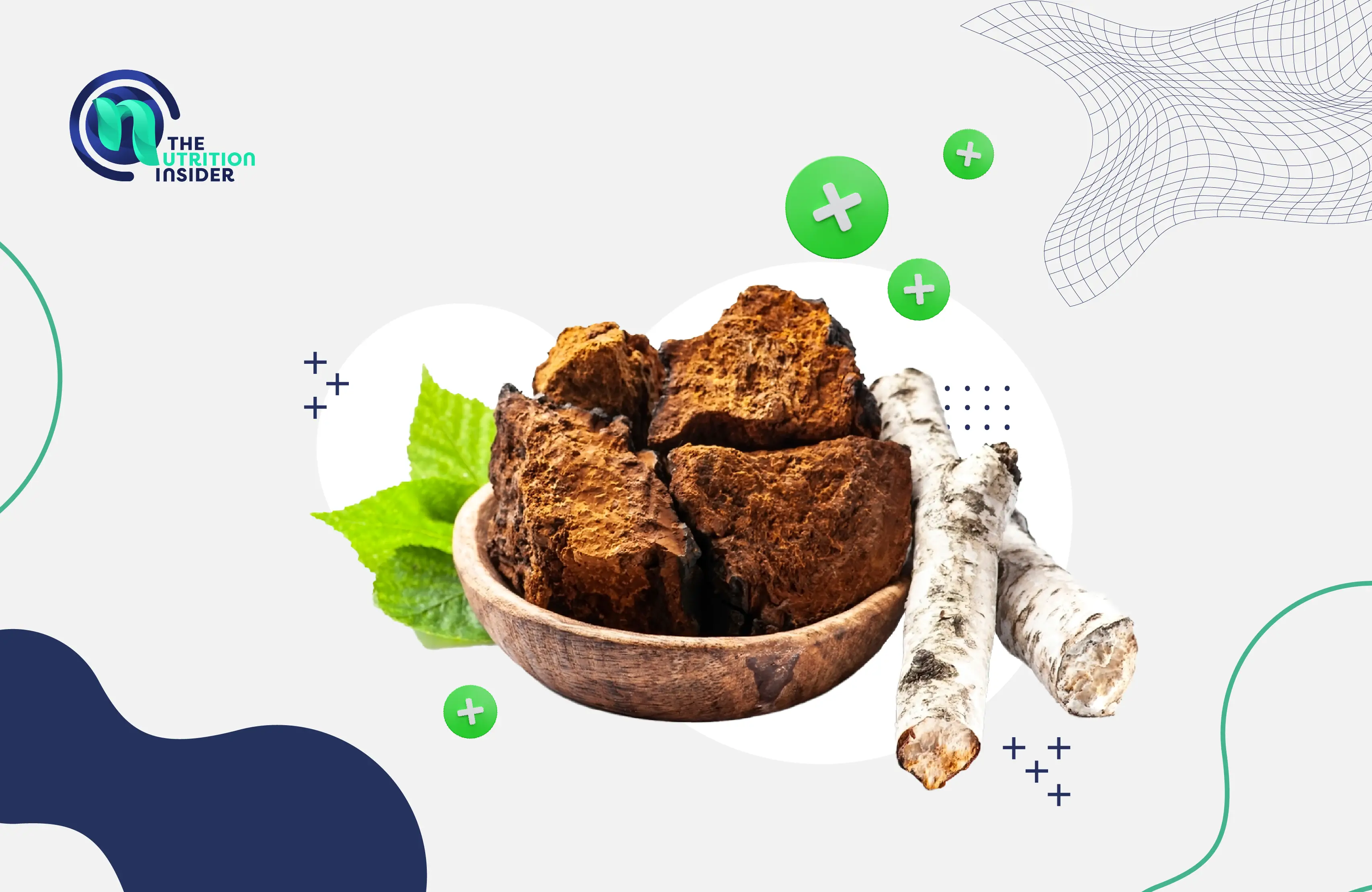 Top 7 Chaga Mushroom Benefits