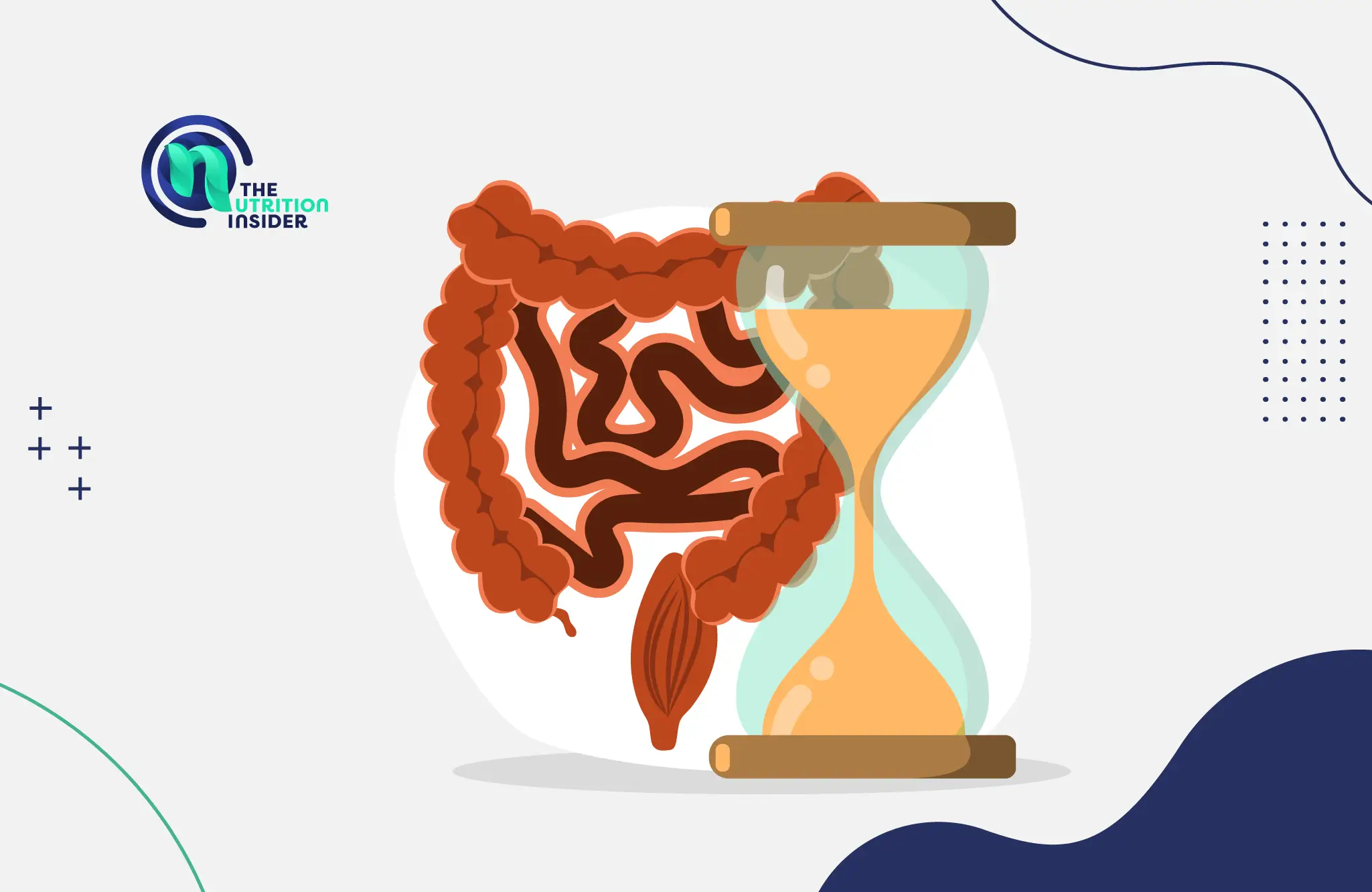 graphic illustrating the digestive system with an hourglass in front of it