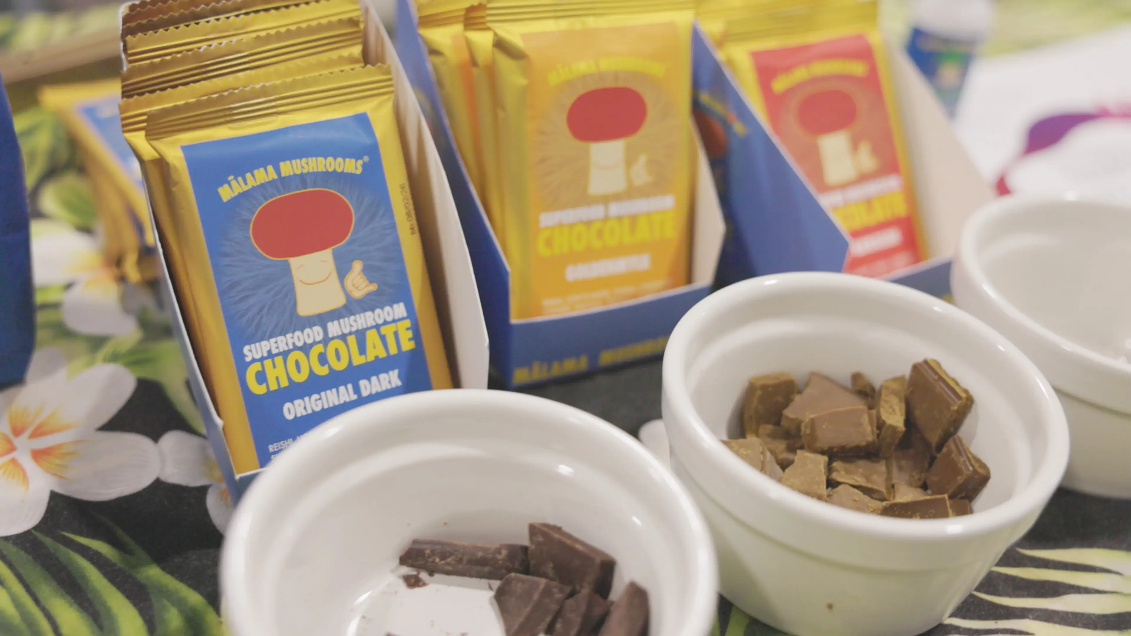 picture of malama mushroom chocolate bars